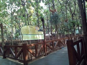 eco green park review,eco green park rochester,eco green park rumah terbalik,eco green park sendang,eco green park sentul,eco green park singapore